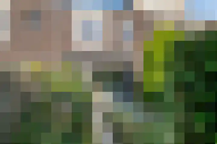 Landleven 85 Eindhoven thumbnail 21