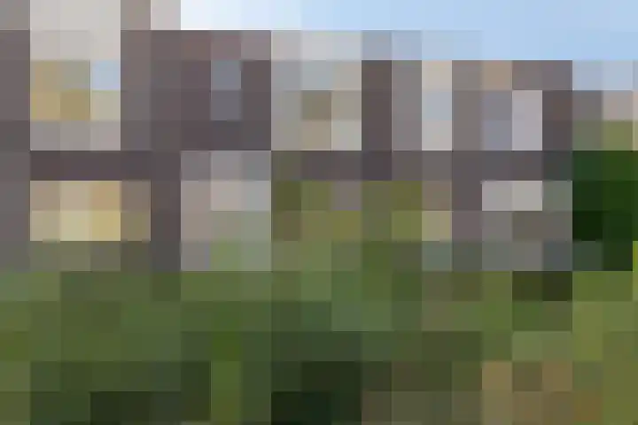 Landleven 85 Eindhoven thumbnail 27