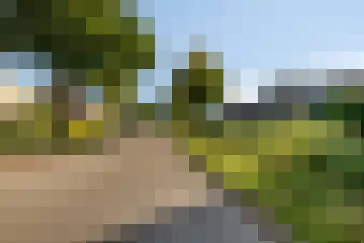 Landleven 85 Eindhoven thumbnail 28