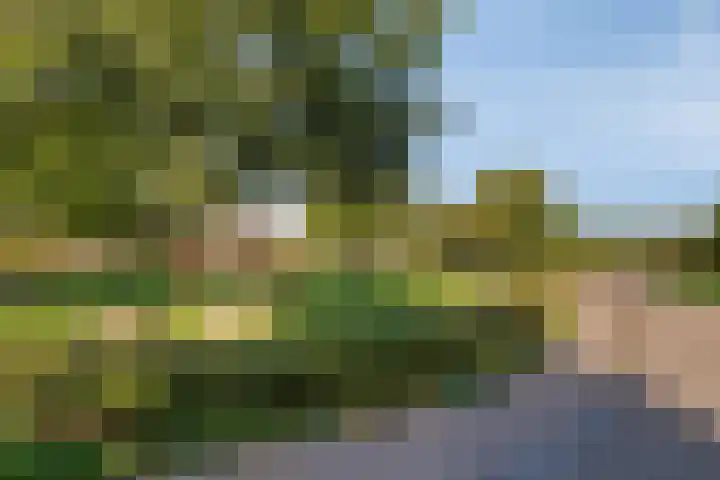 Landleven 85 Eindhoven thumbnail 30