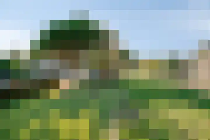Landleven 85 Eindhoven thumbnail 4