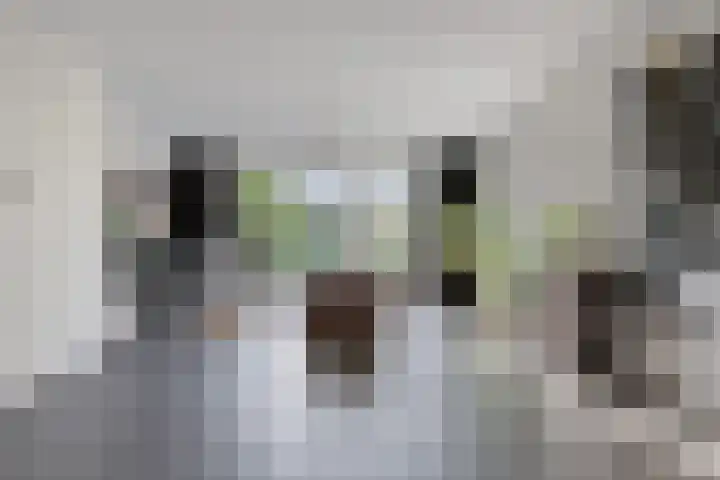 Landleven 85 Eindhoven thumbnail 6