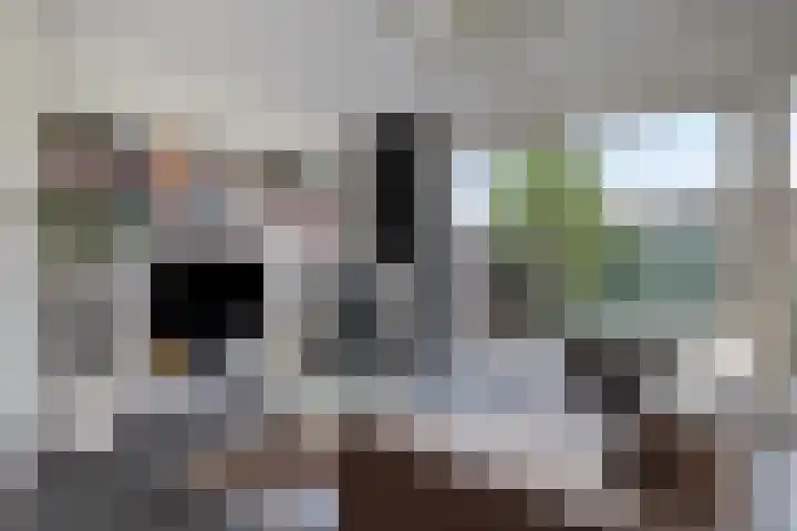 Landleven 85 Eindhoven thumbnail 7