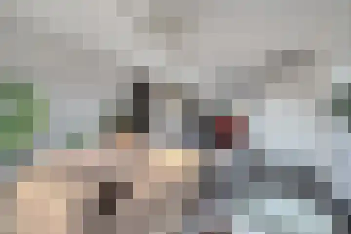 Landleven 85 Eindhoven thumbnail 8
