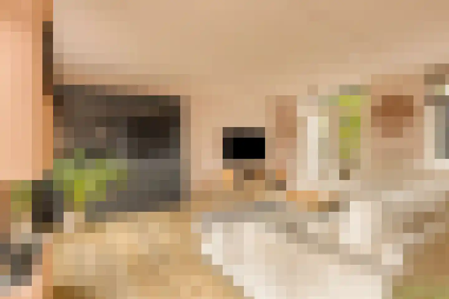 Landlust 12 Hoofddorp thumbnail 11