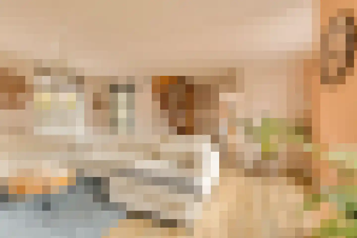 Landlust 12 Hoofddorp thumbnail 13