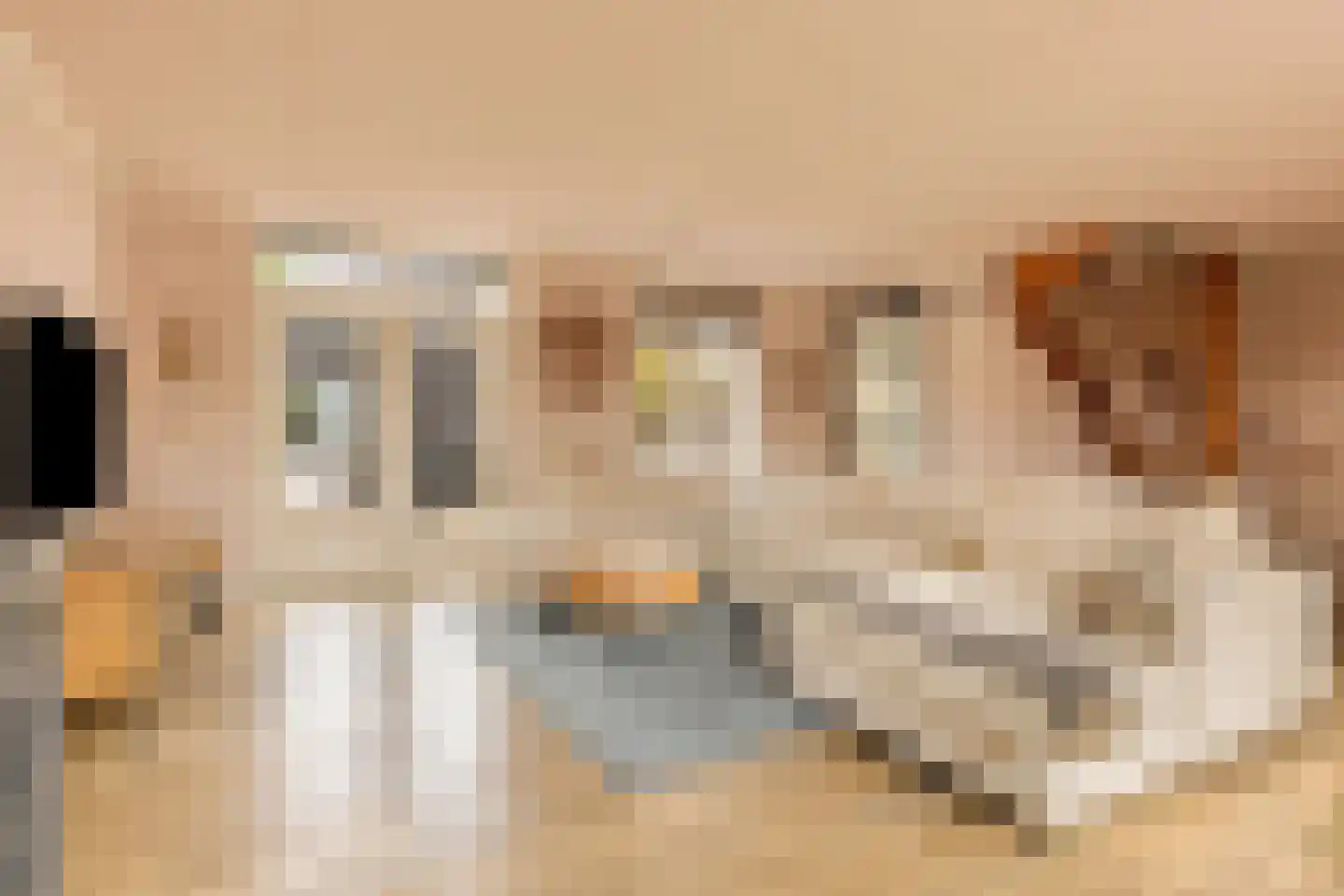Landlust 12 Hoofddorp thumbnail 14