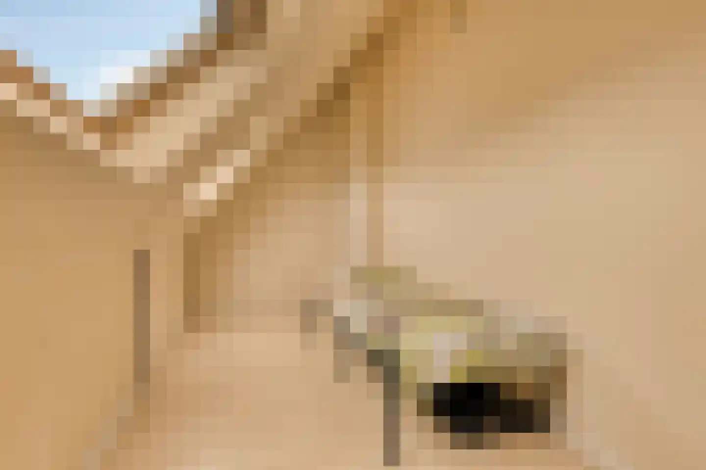 Landlust 12 Hoofddorp thumbnail 45