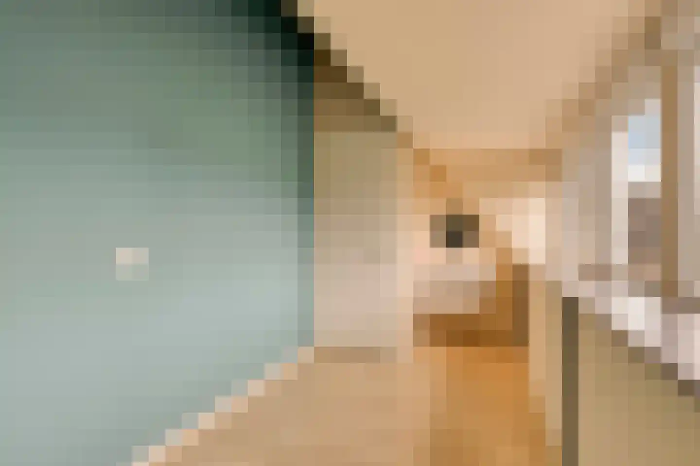 Landlust 12 Hoofddorp thumbnail 46