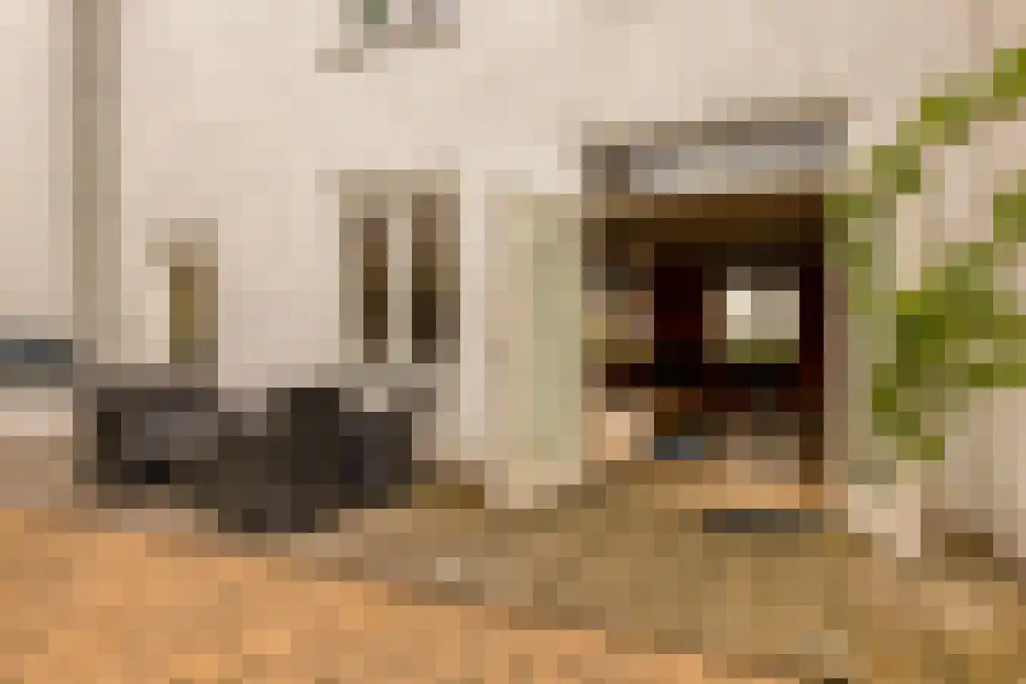 Landlust 12 Hoofddorp thumbnail 48