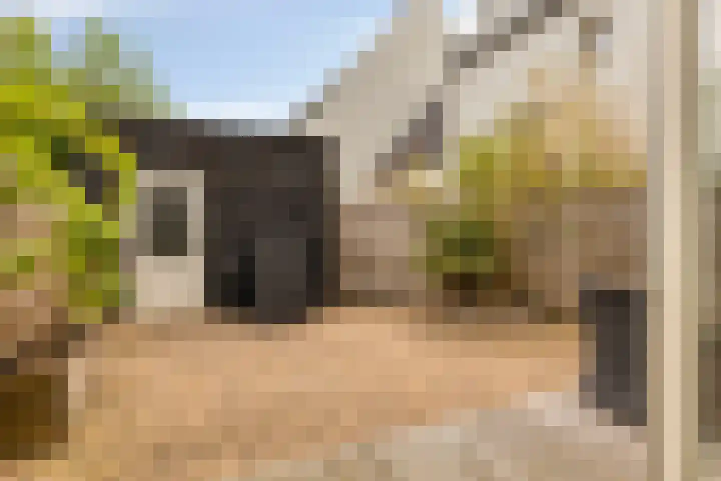 Landlust 12 Hoofddorp thumbnail 49