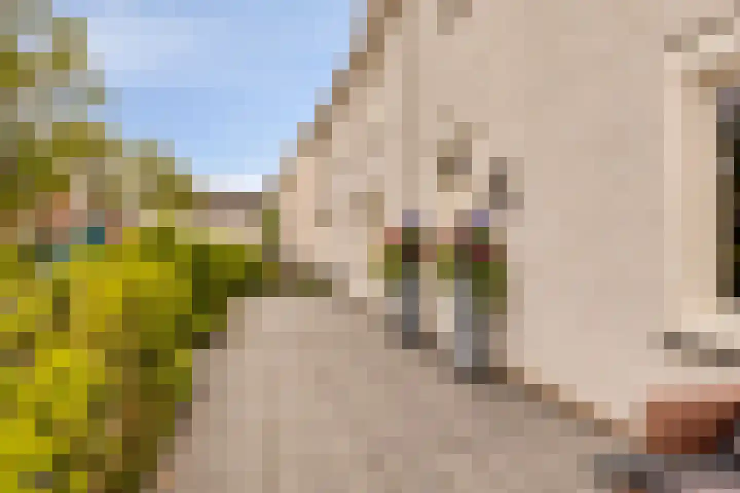 Landlust 12 Hoofddorp thumbnail 51