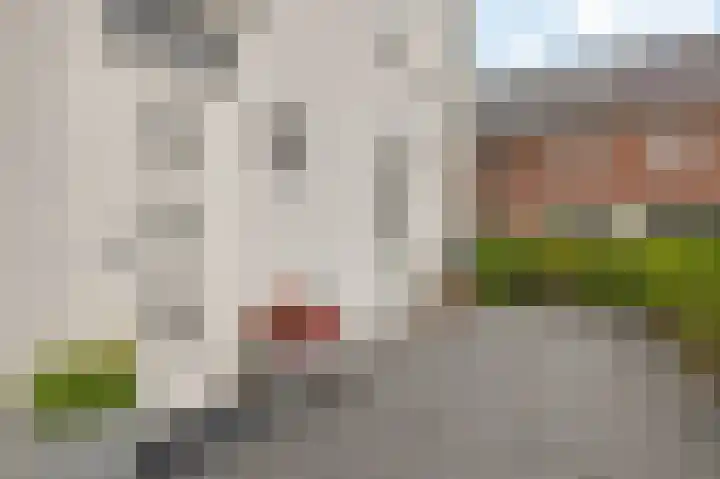 Landlust 12 Hoofddorp thumbnail 53