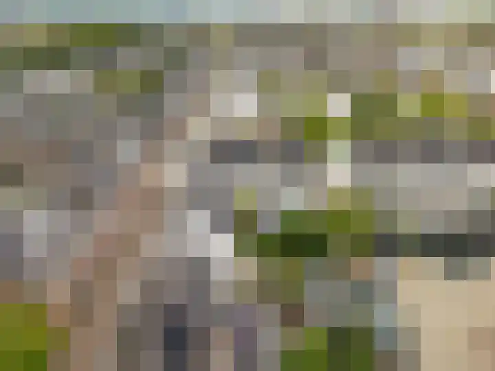 Landlust 12 Hoofddorp thumbnail 57