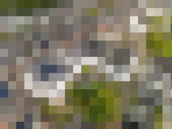 Landlust 12 Hoofddorp thumbnail 58