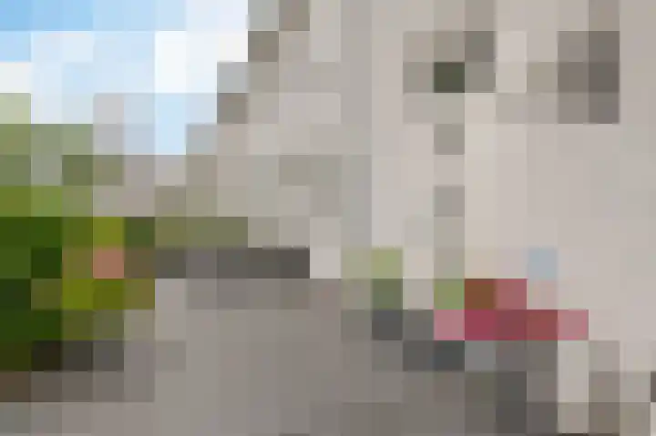 Landlust 12 Hoofddorp thumbnail 6