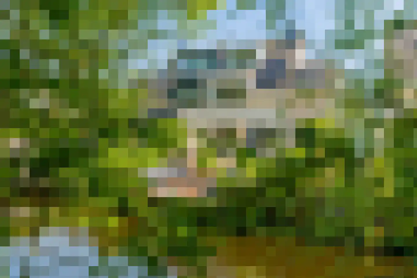 Landlust 13 Amstelveen thumbnail 28