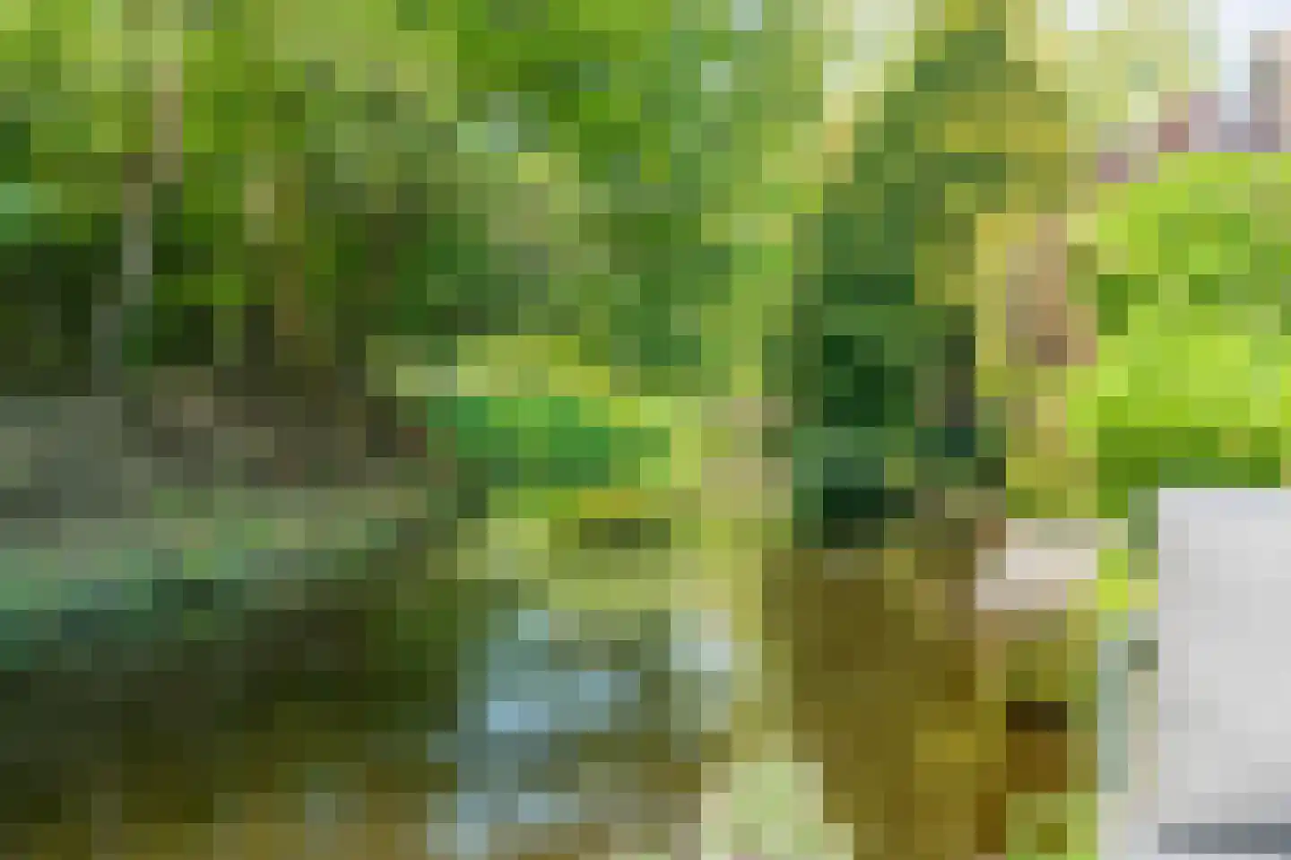 Landlust 13 Amstelveen thumbnail 29