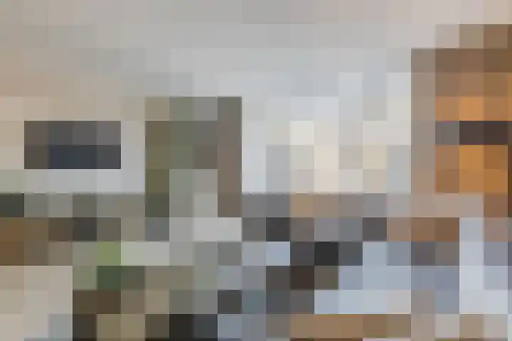 Landlust 20 Bodegraven thumbnail 15