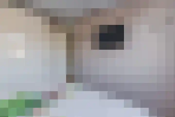 Landlust 20 Bodegraven thumbnail 28