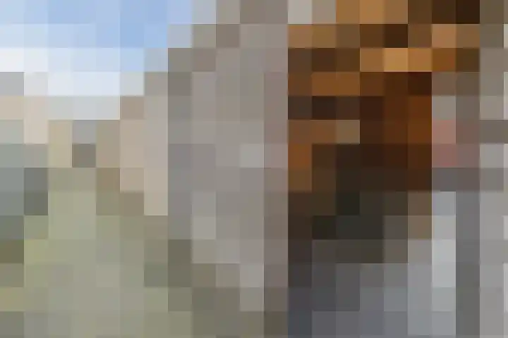 Landlust 20 Bodegraven thumbnail 44