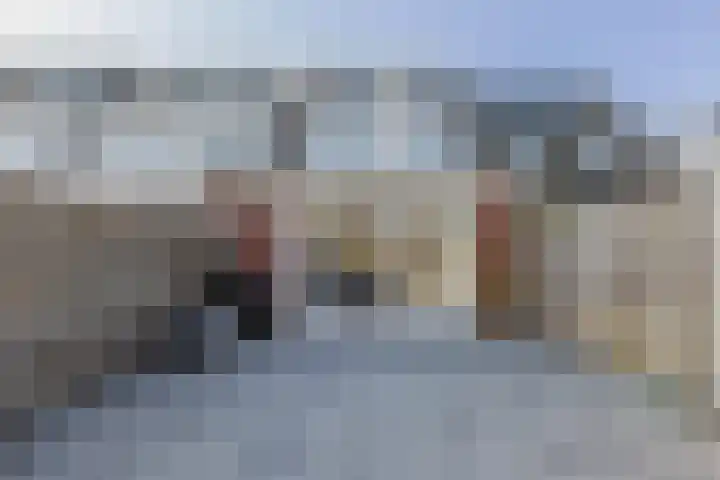 Landlust 20 Bodegraven thumbnail 45