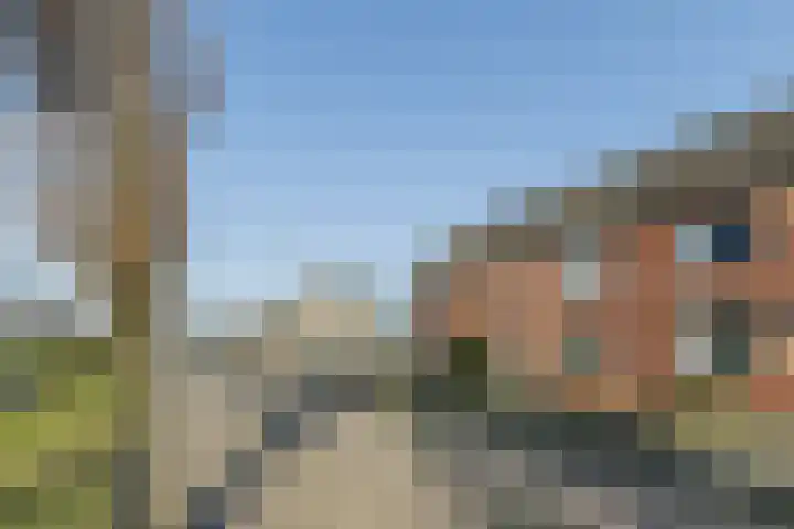 Landlust 20 Bodegraven thumbnail 46
