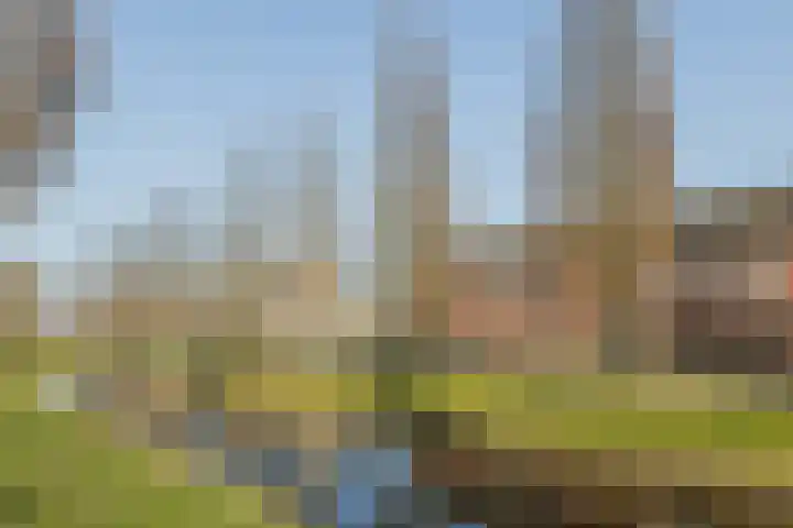 Landlust 20 Bodegraven thumbnail 47