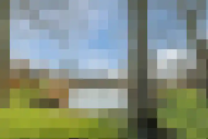 Landlust 20 Bodegraven thumbnail 48