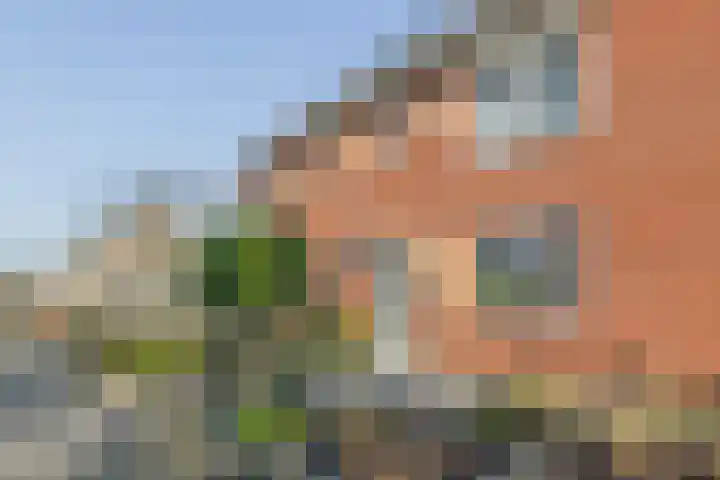 Landlust 20 Bodegraven thumbnail 6