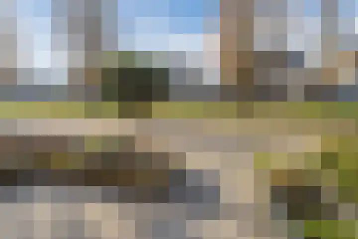 Landlust 20 Bodegraven thumbnail 8