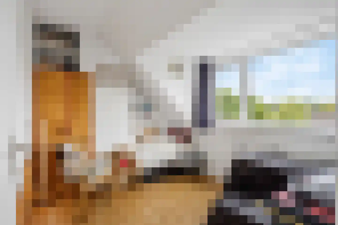 Landlustlaan 31 Leidschendam thumbnail 26