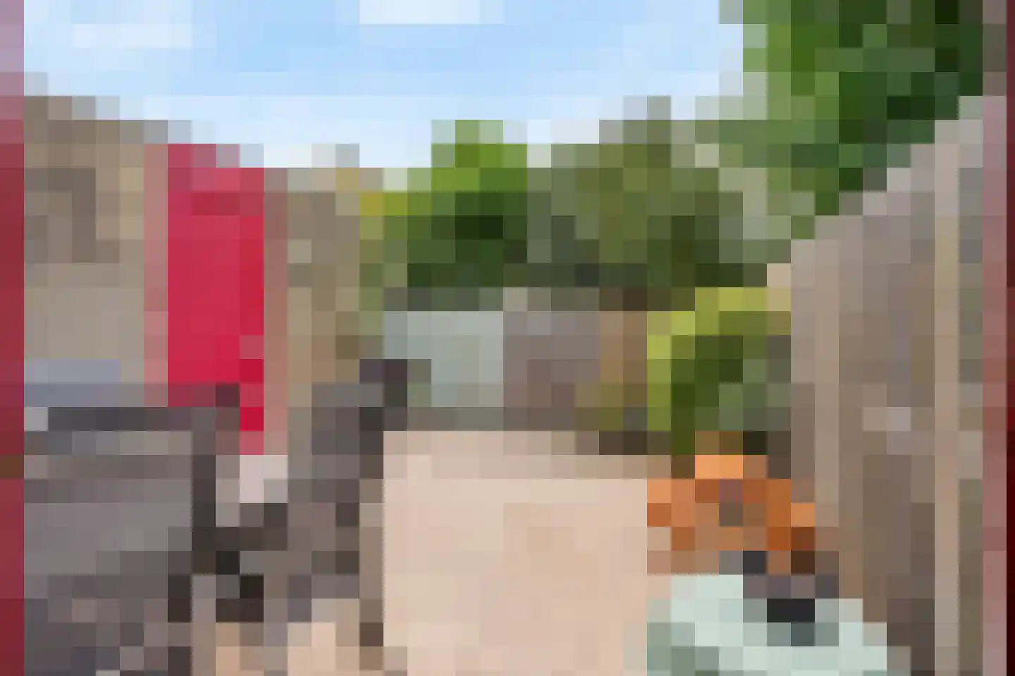 Landlustlaan 31 Leidschendam thumbnail 32