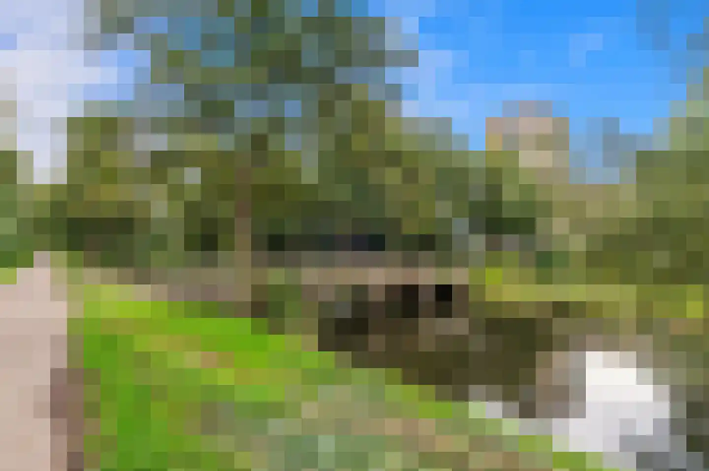 Landlustlaan 42 Leidschendam thumbnail 28