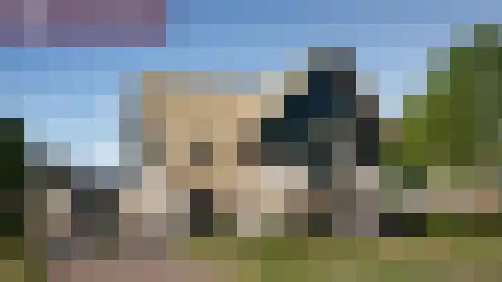 Landlustpad 1 Ter Aar