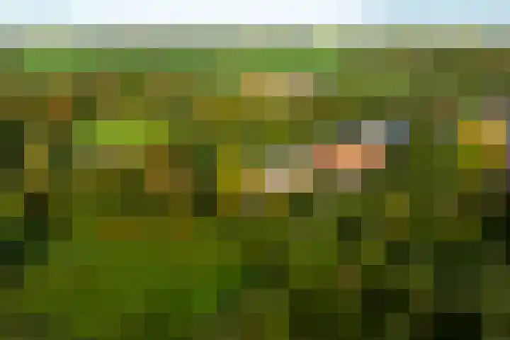Landlustweg 40 Steenderen thumbnail 4