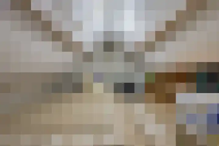 Landlustweg 40 Steenderen thumbnail 41