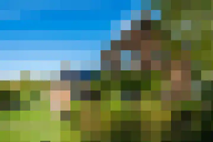 Landlustweg 40 Steenderen thumbnail 43