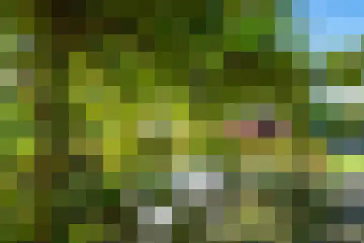 Landlustweg 40 Steenderen thumbnail 48