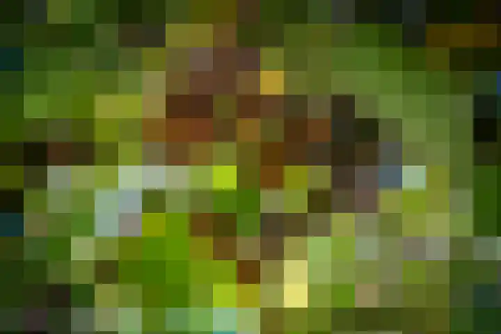 Landlustweg 40 Steenderen thumbnail 49