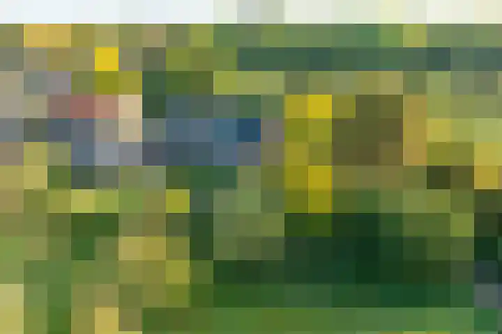 Landlustweg 40 Steenderen thumbnail 5