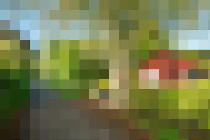 Landlustweg 40 Steenderen thumbnail 56