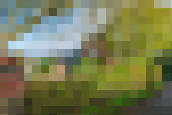 Landlustweg 40 Steenderen thumbnail 57