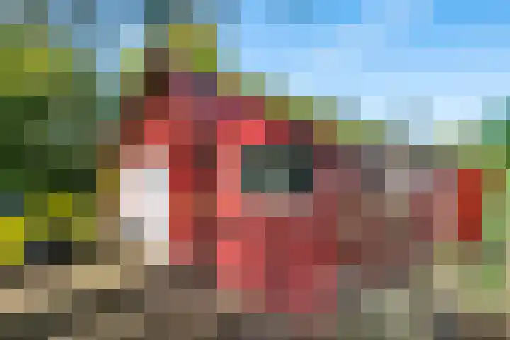Landlustweg 40 Steenderen thumbnail 58