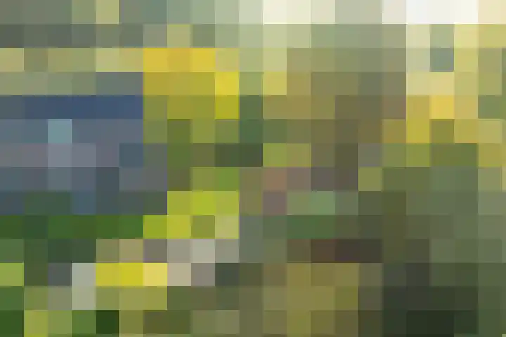 Landlustweg 40 Steenderen thumbnail 6