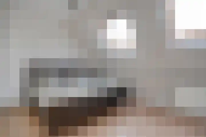Landmanmarke 19 Dalfsen thumbnail 16