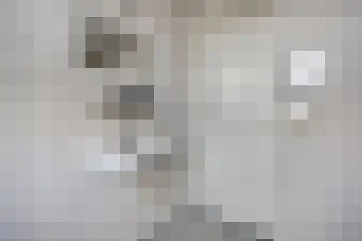 Landmanmarke 19 Dalfsen thumbnail 20