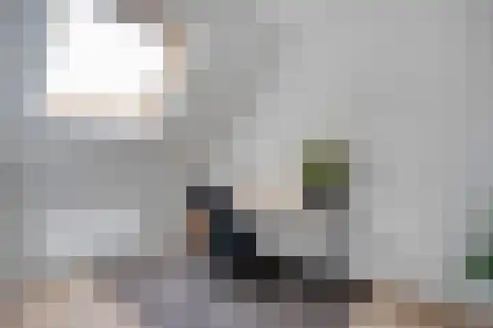 Landmanmarke 19 Dalfsen thumbnail 21