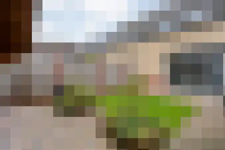 Landmanmarke 19 Dalfsen thumbnail 23