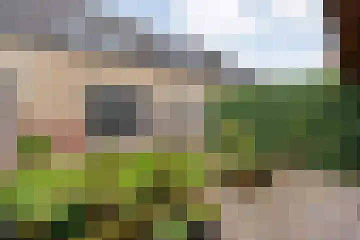 Landmanmarke 19 Dalfsen thumbnail 24